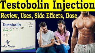 Testosterone Enanthate Injection usp 250 mg in hindi  testobolin alpha pharma review  Side Effects [upl. by Reggis739]