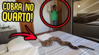 COLOQUEI UMA COBRA NA CAMA DO MEU AMIGO   TROLLANDO MEU AMIGO  REZENDE EVIL [upl. by Ylevol]