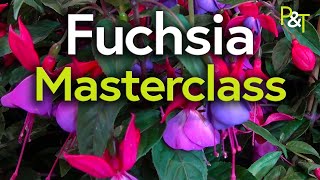 Fuchsia Masterclass potting pruning cuttings hardiness  Pots amp Trowels [upl. by Cave]