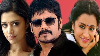 Nagarjuna Tamil Full Hd Movie  Nagarjuna AkkineniTrishaMamta Mohandas  Tamil Full action movie [upl. by Eronaele]