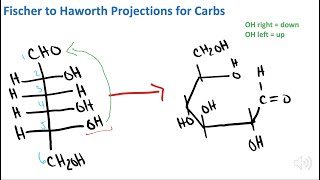 Fischer  Haworth Projection Conversion  Biochemistry [upl. by Naamana299]