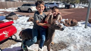 Torres Family goes to the Deer Farm [upl. by Manas]