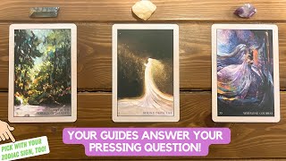 Your Guides Answer Your Pressing Question  Timeless Reading [upl. by Wakeen]