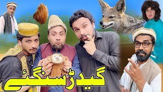 Gidar Singhi Funny Video Gull Khan Vines trending [upl. by Annaes]