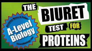 The Biuret Test  Biochemical Food Tests For A Level Biology and GCSE Biology [upl. by Laverne]