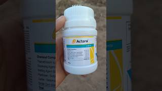 Syngenta Actara Systemic Insecticide Thiamethoxam 25 [upl. by Synned]