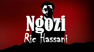 Ric Hassani  Ngozi Lyrics🎵🎵 [upl. by Zerline]