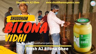 Desi Bilona A2 Ghee Process at shuddham Farm [upl. by Michaele]