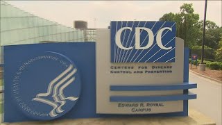 CDC warns doctors to watch for Marburg virus  What to know [upl. by Sigmund8]