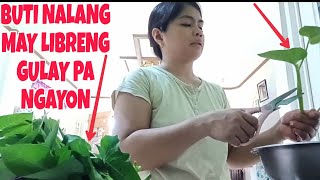 DATING GAWI NA NAMAN AT PAGLULUTO NG SINIGANG NA PORK PARA SA LUNCH NAMIN [upl. by Danziger]