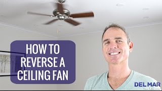 How To Reverse A Ceiling Fan [upl. by Havstad]