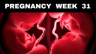 Pregnancy Week 31  Cravings Kicks Symptoms amp Baby Growth [upl. by Guidotti]