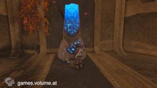 How to solve the Divine Beast Vah Rudania [upl. by Sitnalta943]