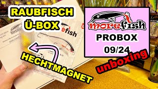 Tolle Box Hechtgummis Barschköder und Zanderimitate morefish ProBox Box September Unboxing [upl. by Sylvia]