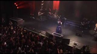 Yousei Teikoku  Vampire LIVE denkare cover [upl. by Neddie]