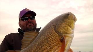 Redfish on Cork  Louisiana Fishing Charters [upl. by Acimahs]