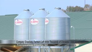 Local farmers hung out to dry after poultry company closes [upl. by Arihas]