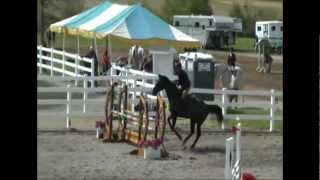 Liberty and Angelo Telatin competing at 110 m bridleless riding jumping [upl. by Bramwell]