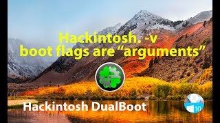 Hackintosh boot flags are quotargumentsquot v [upl. by Aehtna430]