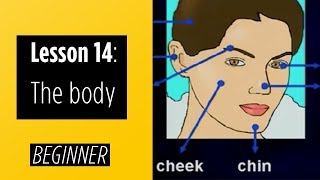 Beginner Levels  Lesson 14 The Body [upl. by Nytsirc473]