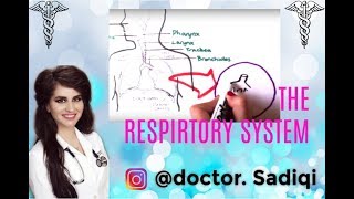 Respiratory system made easy [upl. by Aisatsanna619]