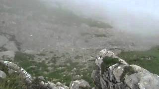 Mountain goat falls to its death  The Aftermath [upl. by Irek]