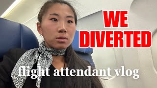 WE DIVERTED 😫  flight attendant vlog [upl. by Edwine]