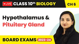 Hypothalamus amp Pituitary Gland  Control and Coordination  Class 10 Biology Chapter 6 LIVE [upl. by Arrotal]