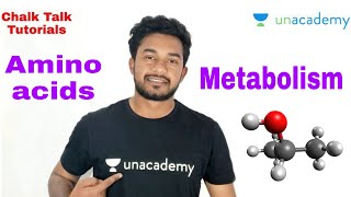 part 1 Amino acids metabolism protein metabolism Farman khan [upl. by Pengelly420]