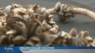 Austin Water works to combat smelly water from dead Zebra mussels [upl. by Anehsat885]