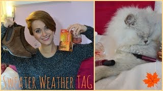 SWEATER WEATHER TAG  My Fall Favourites ENGLISH [upl. by Snapp]