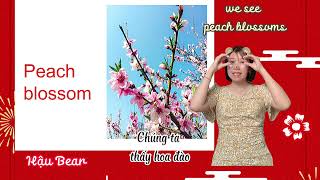 Nói Tiếng Anh về ngày Tết đơn giản cho Trẻ em  Talk about Tet Holiday for kids [upl. by Leanor272]