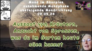 Mond und Aussaat von Kräutern und Anzucht von Sprossen heute besonders günstig [upl. by Manfred218]