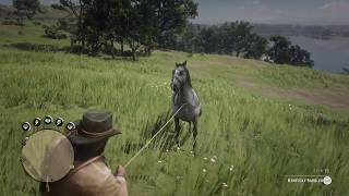 Red Dead Redemption 2 How to break tame and ride a wild horse [upl. by Thorn]