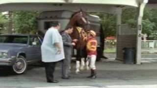 We bought the wrong horse Hilarious insurance commercial [upl. by Eneja]