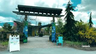 Coquitlam BC Canada 2024 [upl. by Aner]