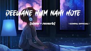 Deewane Hum Nahi Hote New lofi song  SlowedReverb2023 Editing By  hgeditor021 [upl. by Noryak781]