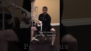 Back of Knee PainStiffness Check Popliteus Muscle [upl. by Skurnik]