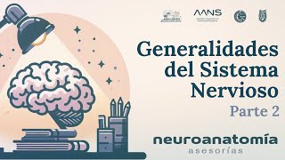 Generalidades del Sistema Nervioso  Parte 2  Neuroanatomía Asesorías  AANS ESMIPN [upl. by Algernon]