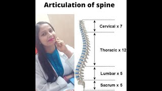 ARTICULATION OS SPINE  INTERVERTEBRAL JOINT  ZYGAPOPHYSEAL JOINT  PART 1 [upl. by Noteek]