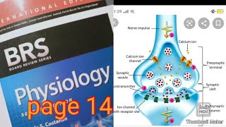 Synaptic transmission FCPS part 1BRS PHYSIOLOGY LECTURES l kulsoom Rasheed Depar [upl. by Lunt]