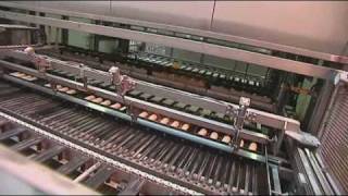 Baking bread in a factory 711yr pupils [upl. by Hcahsem]