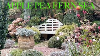 December Small Space Garden Tour Gorgeous Flowers Foliage Festive Feel amp Surprise Winter Visitor [upl. by Laise]