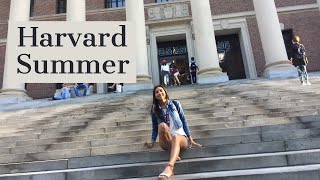 HOW TO GET INTO HARVARD PRECOLLEGE PROGRAM [upl. by Poler]