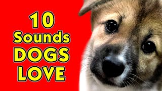 10 Sounds that Dogs love the most [upl. by Center]