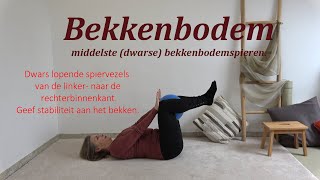 Bekkenbodemoefeningen 💚 een stabiele basis voor het bekken  ongewenst verlies van urine ontlasting [upl. by Kallista685]