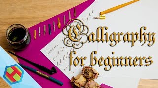 Calligraphy for complete beginners  how to get started [upl. by Shaylah789]