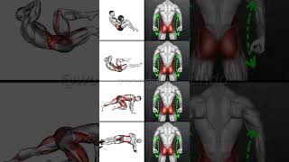 Eliminate Love Handles Best Abs Workouts for a Toned Waist [upl. by Idnaj]