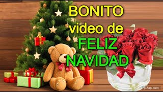 🌲Un BONITO mensaje de NAVIDAD🦋 Feliz Navidad y Prospero año nuevo Familia amigos frases [upl. by Sokairyk]