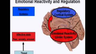 Introduction to the neuroscience of emotions [upl. by Lilithe]